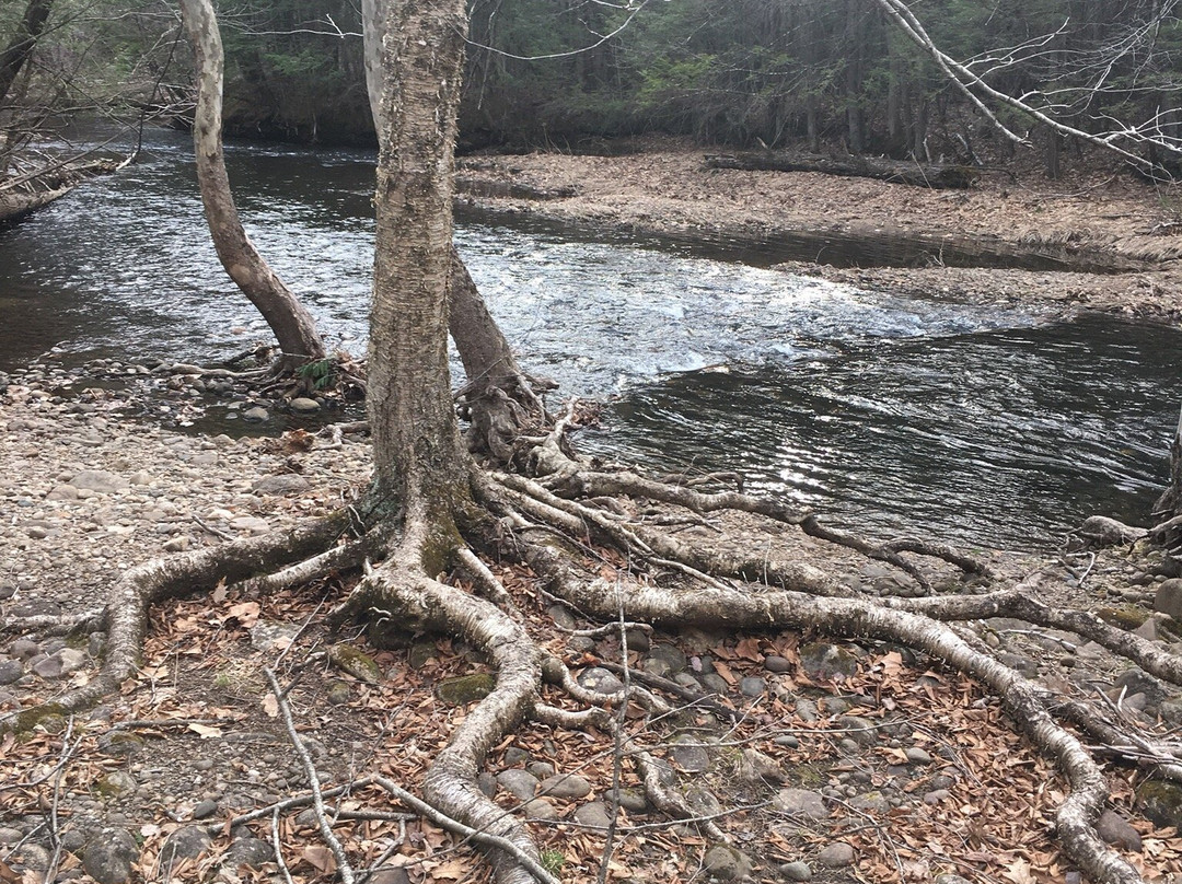 Stanley Park-Westfield必去景点