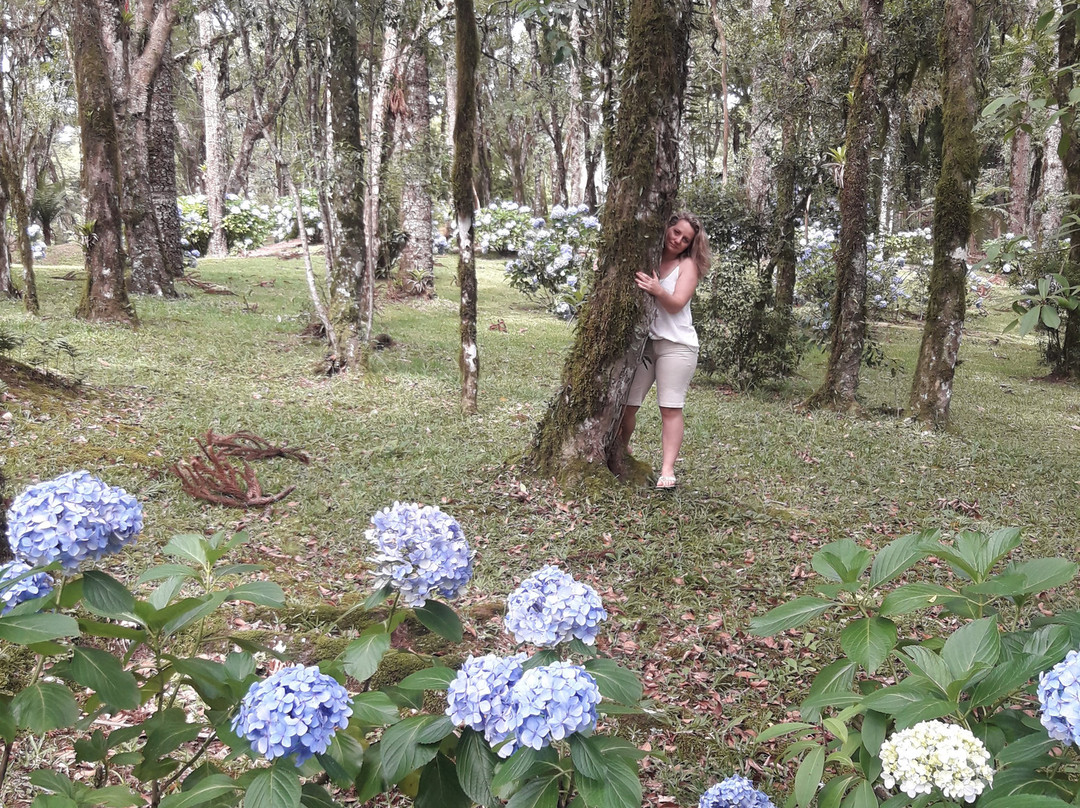 Tri Hotel Canela主图