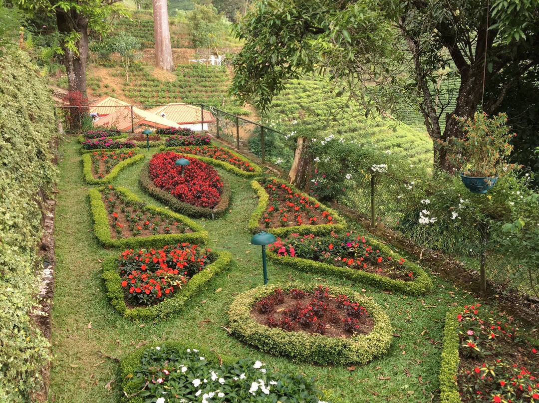 总督府酒店主图
