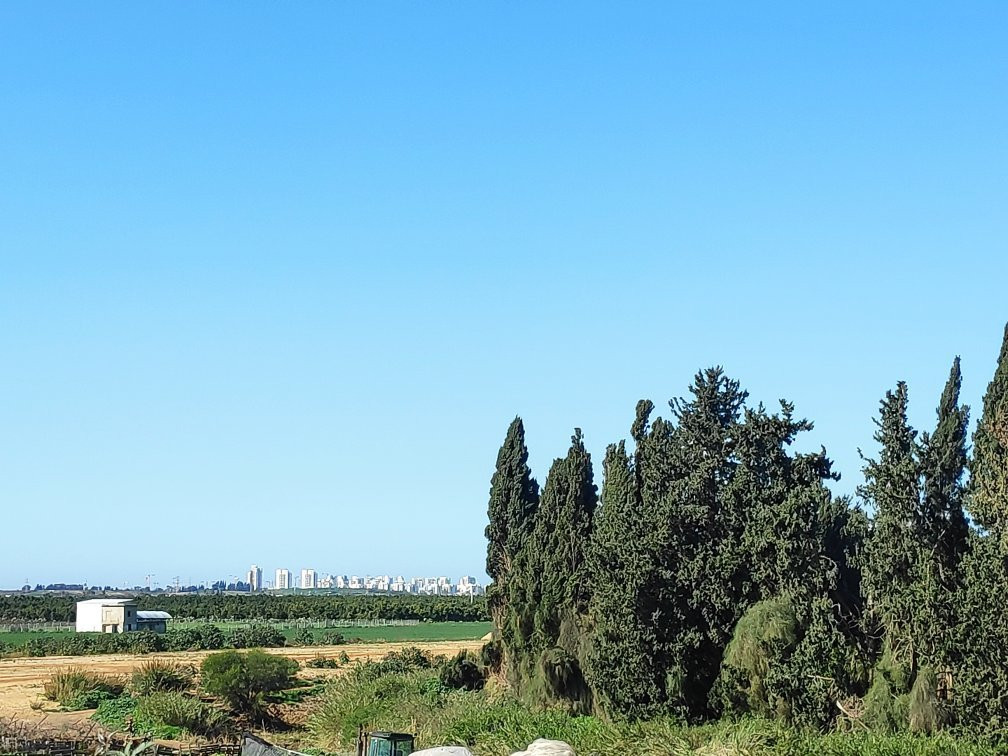 Farm on the Hill景点图片