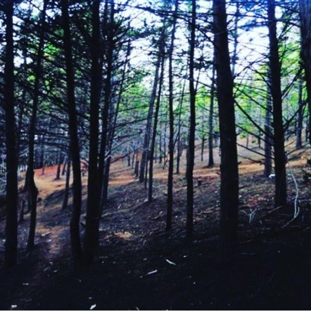 Caleta Horcón-瓦尔帕莱索必去景点