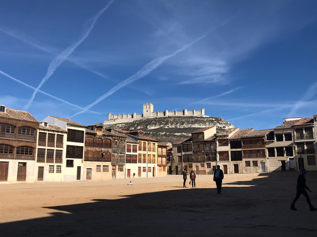 Plaza del Coso景点图片