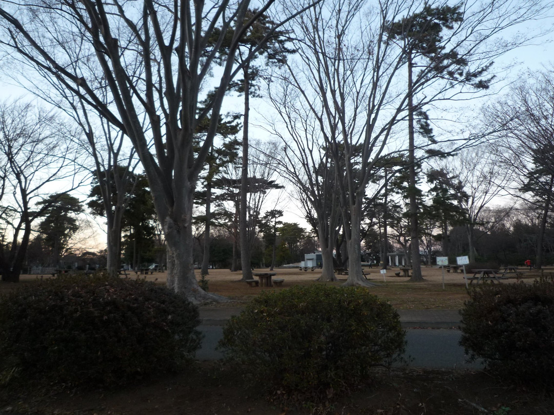 Yabashira Cemetary-松户市必去景点