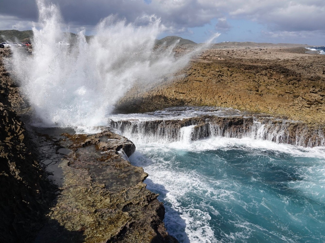 Gail's Gallery-威廉斯塔德必去景点