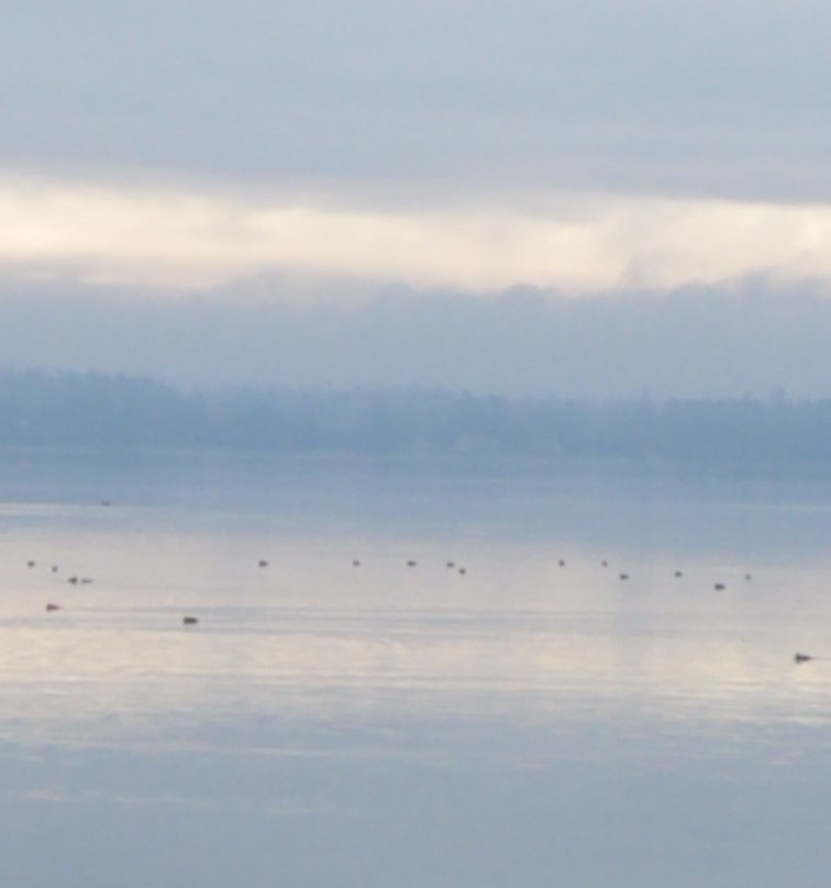 Semiahmoo Park景点图片