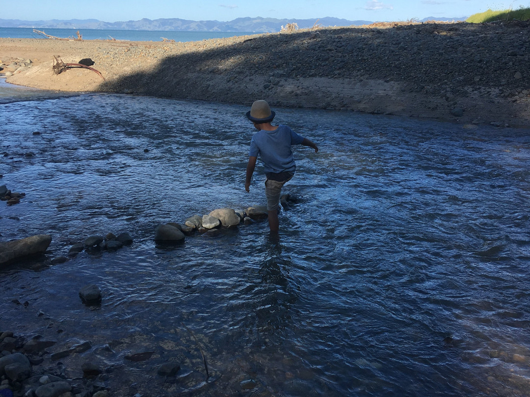 Tapapakanga Regional Park-Orere Point必去景点
