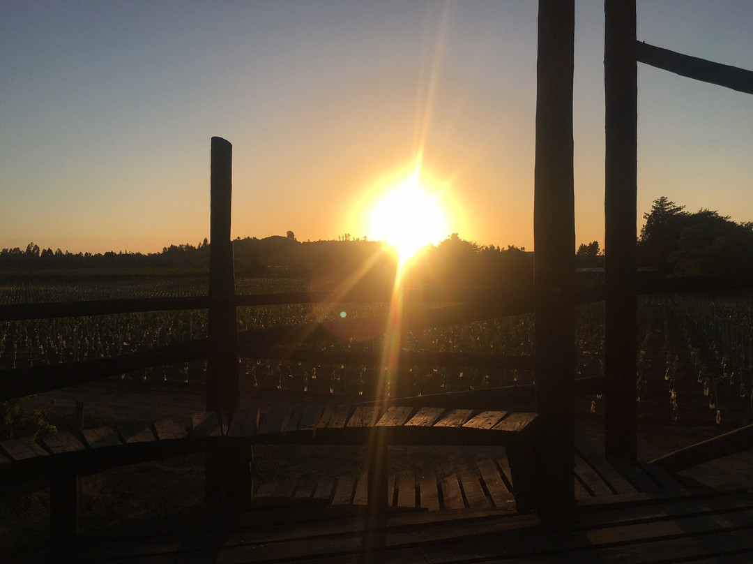 Vina Casa Donoso主图