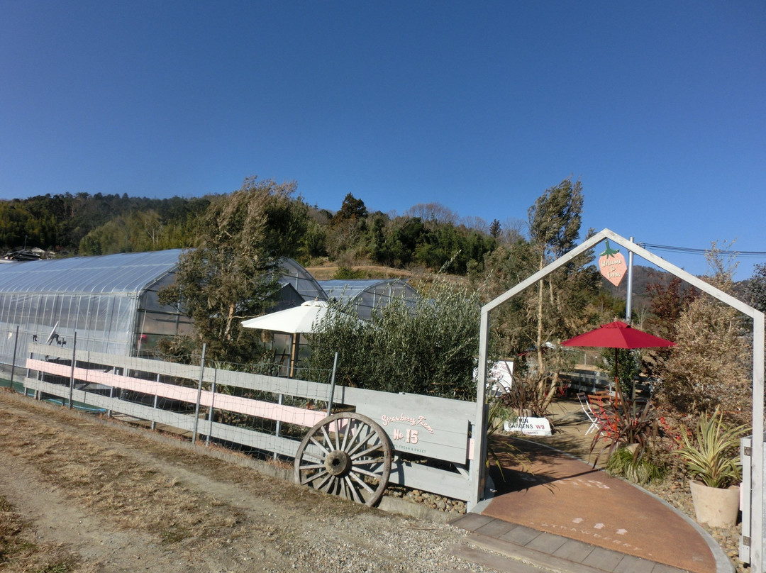 Strawberry Farm No.15 by The Farm Universal Osaka-茨木市必去景点