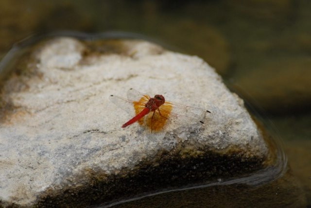 Awesome Wild Adventures-Dar es Salaam必去景点