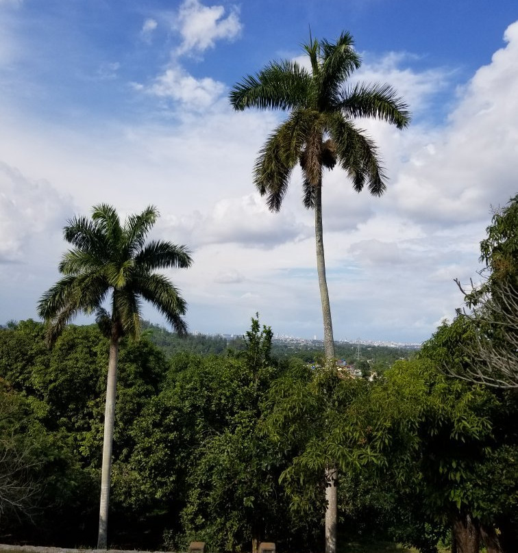 Lookout Farm (Finca Vigia)-哈瓦那必去景点