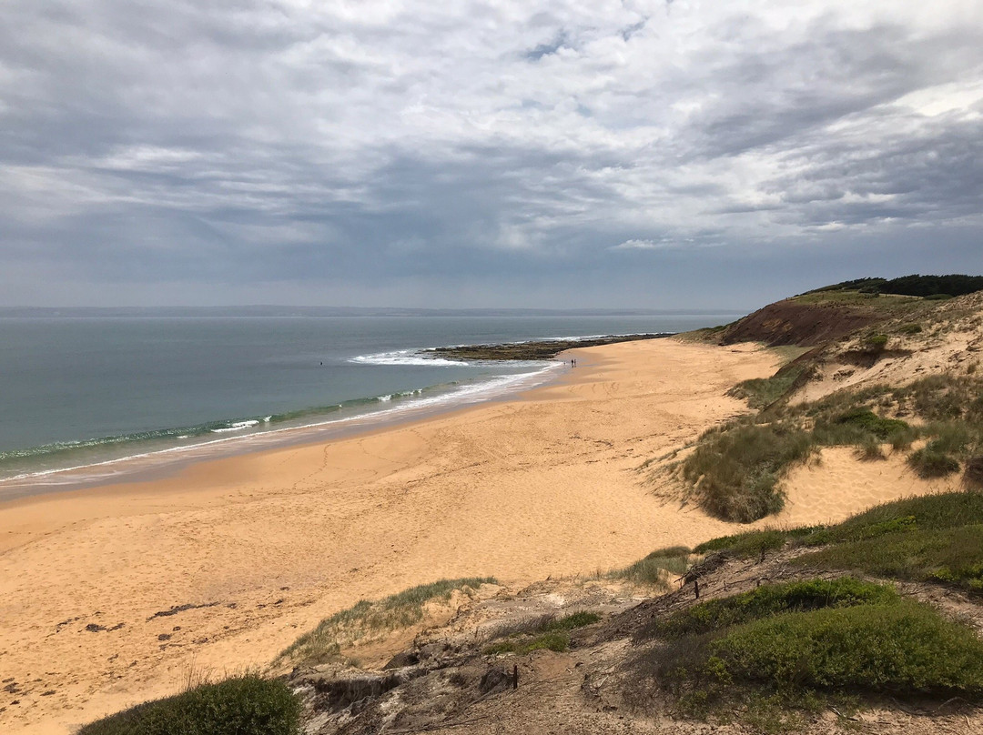 Flynns Beach景点图片