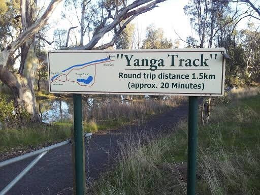 Yanga Track景点图片