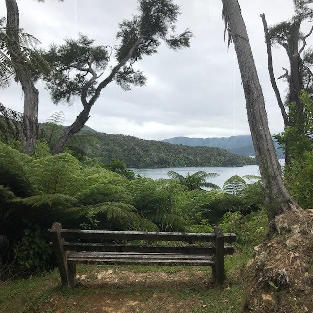 Lochmara Lodge - Marlborough Sounds主图