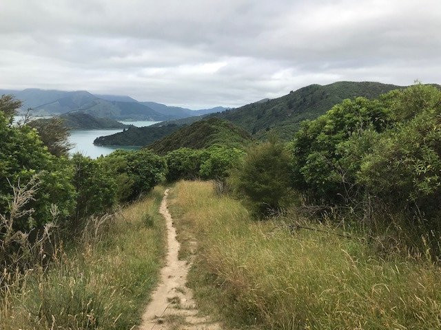 Lochmara Lodge - Marlborough Sounds主图