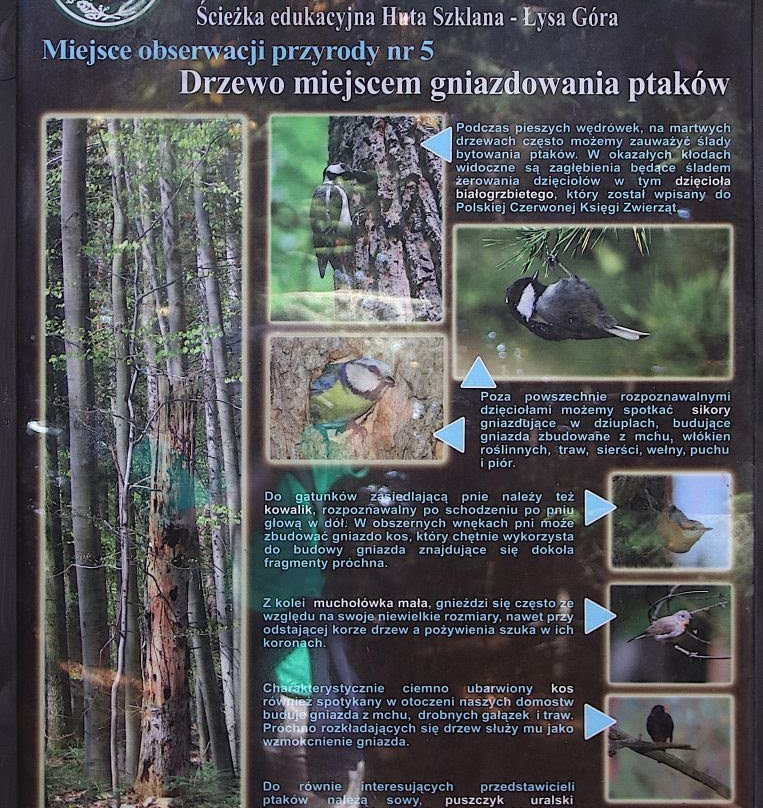 Sciezka przyrodnicza Huta Szklana – Swiety Krzyz-Swiety Krzyz必去景点