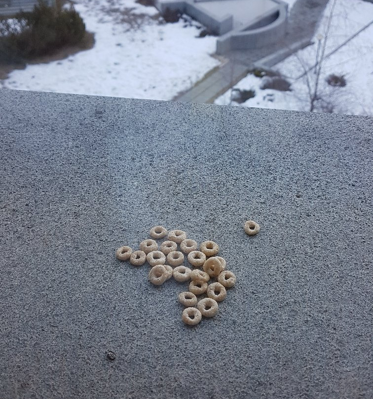 Residence Campo Smith主图