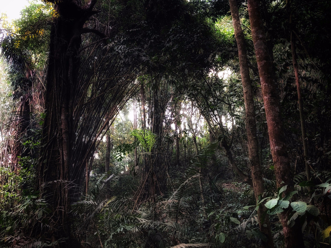 Lake Sangiang-Majalengka必去景点