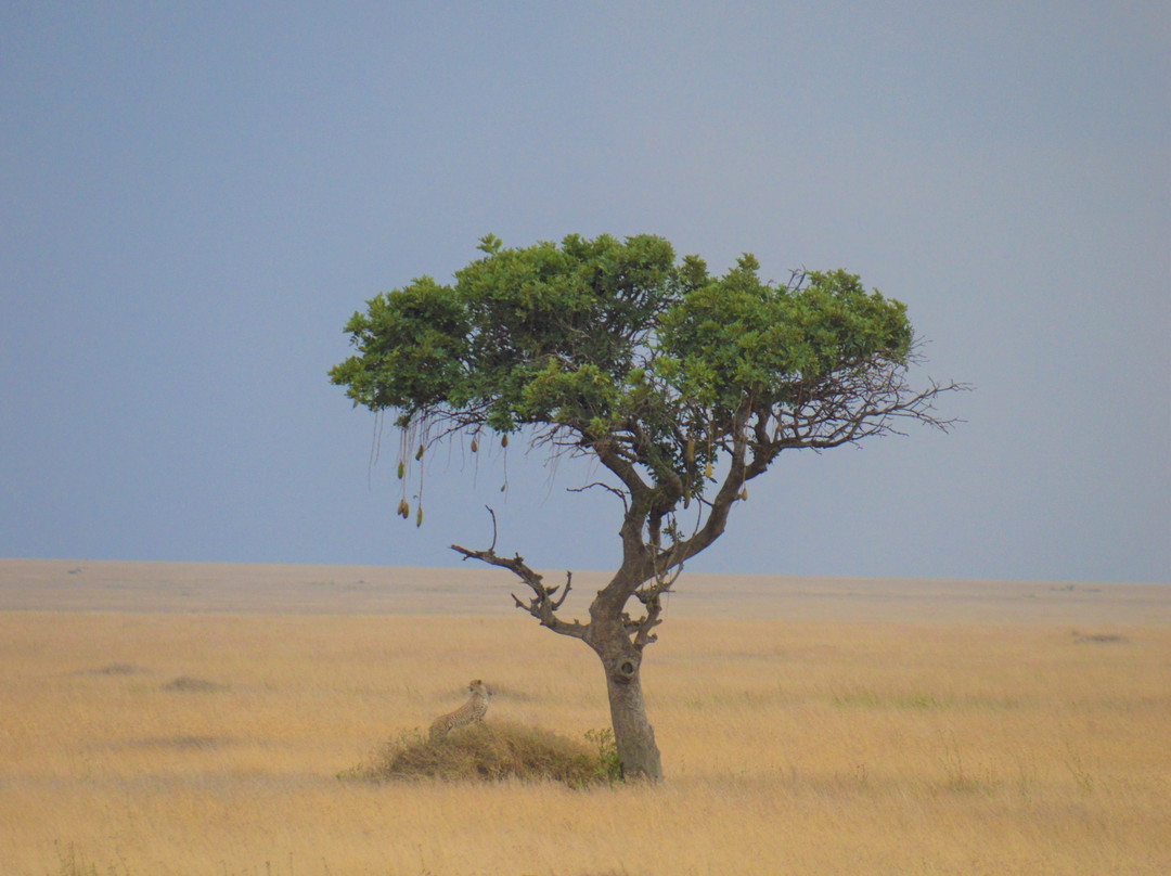 Fair Travel Group Tanzania-阿鲁沙必去景点