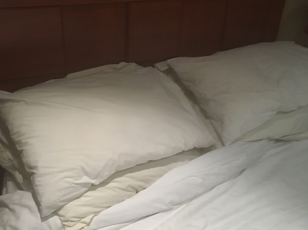 The Oak and Vine Guest House主图