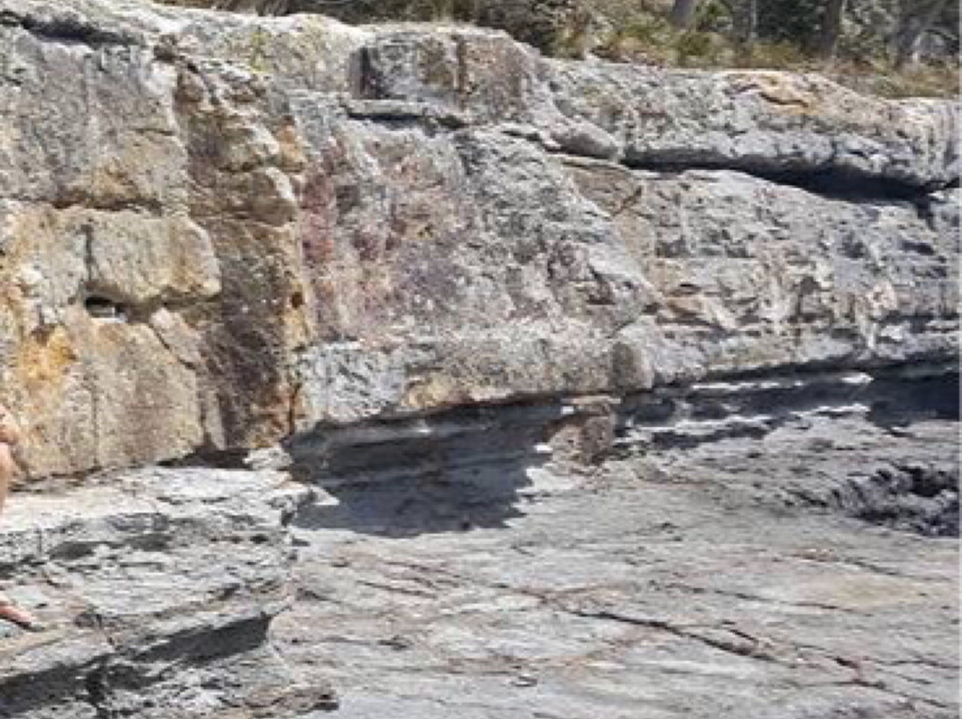 Point Puer-亚瑟港必去景点