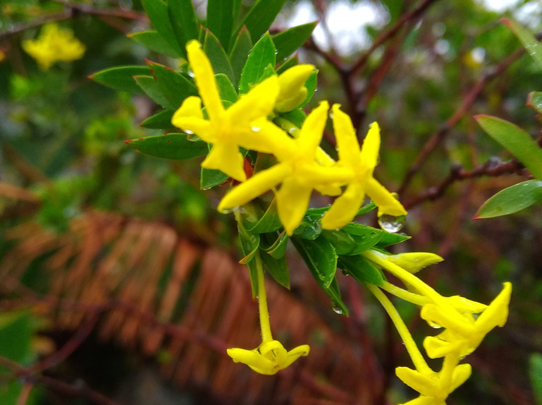 Clearwater Trails-Port Edward必去景点