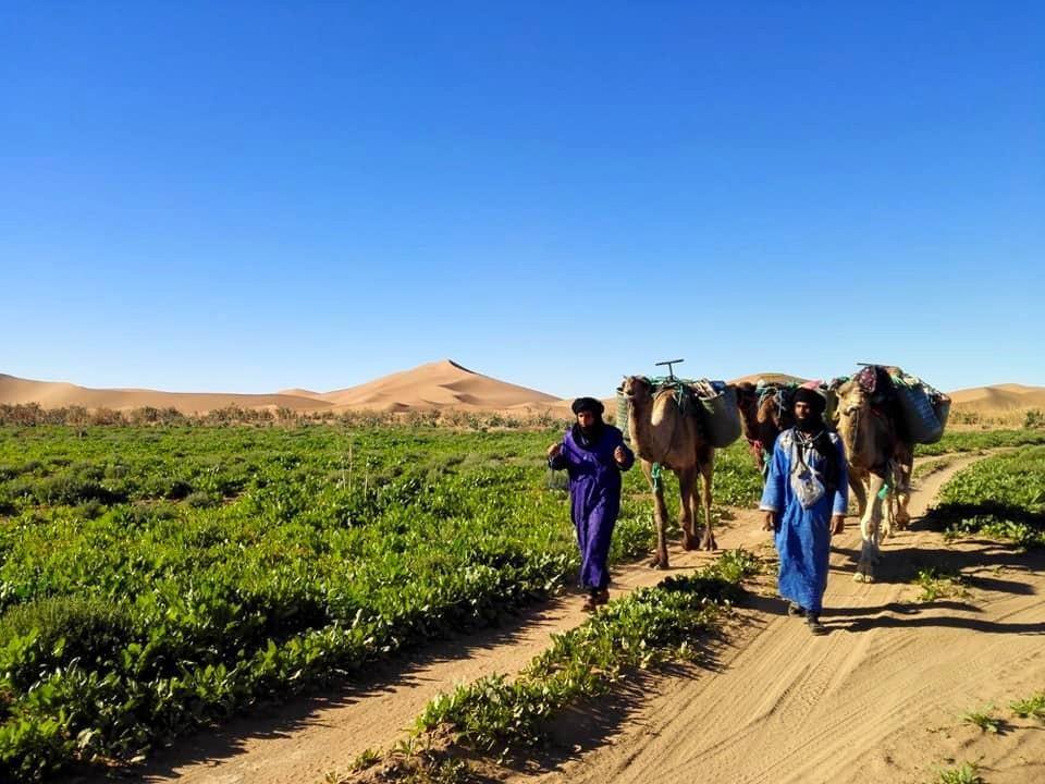 Desert Atmosphere Services-瓦尔扎扎特必去景点