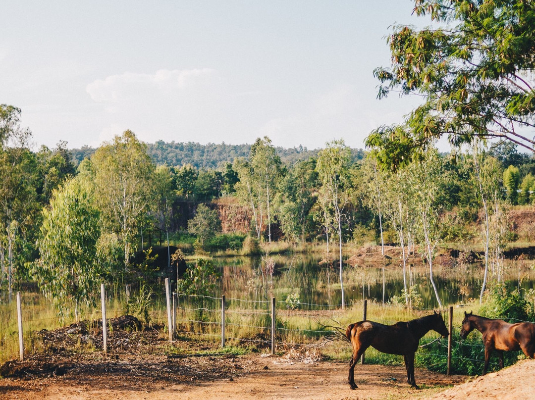 Second Wind Ranch and Rescue景点图片