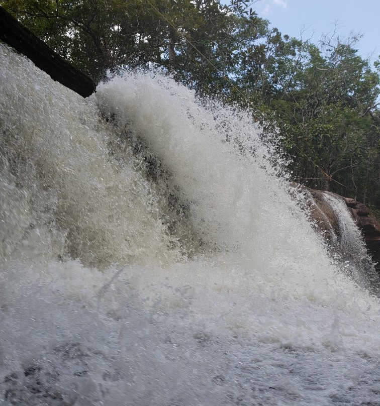Cachoeira do Mutum景点图片