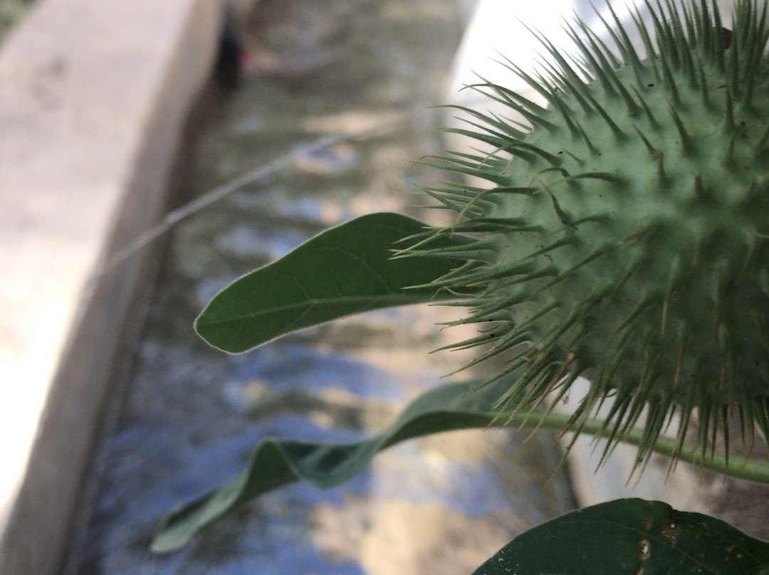 Oman City Tours - Day Tours-马斯喀特必去景点