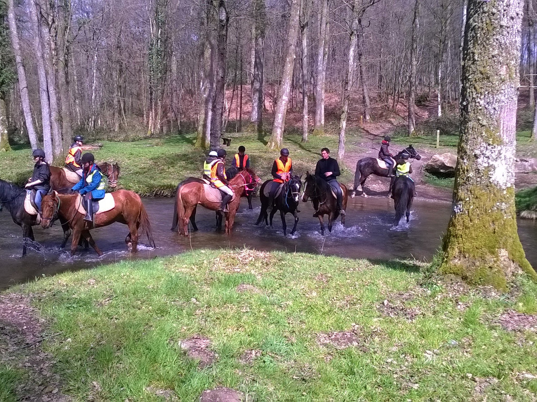Ferme Equestre de la Croix Colas-Signy-le-Petit必去景点