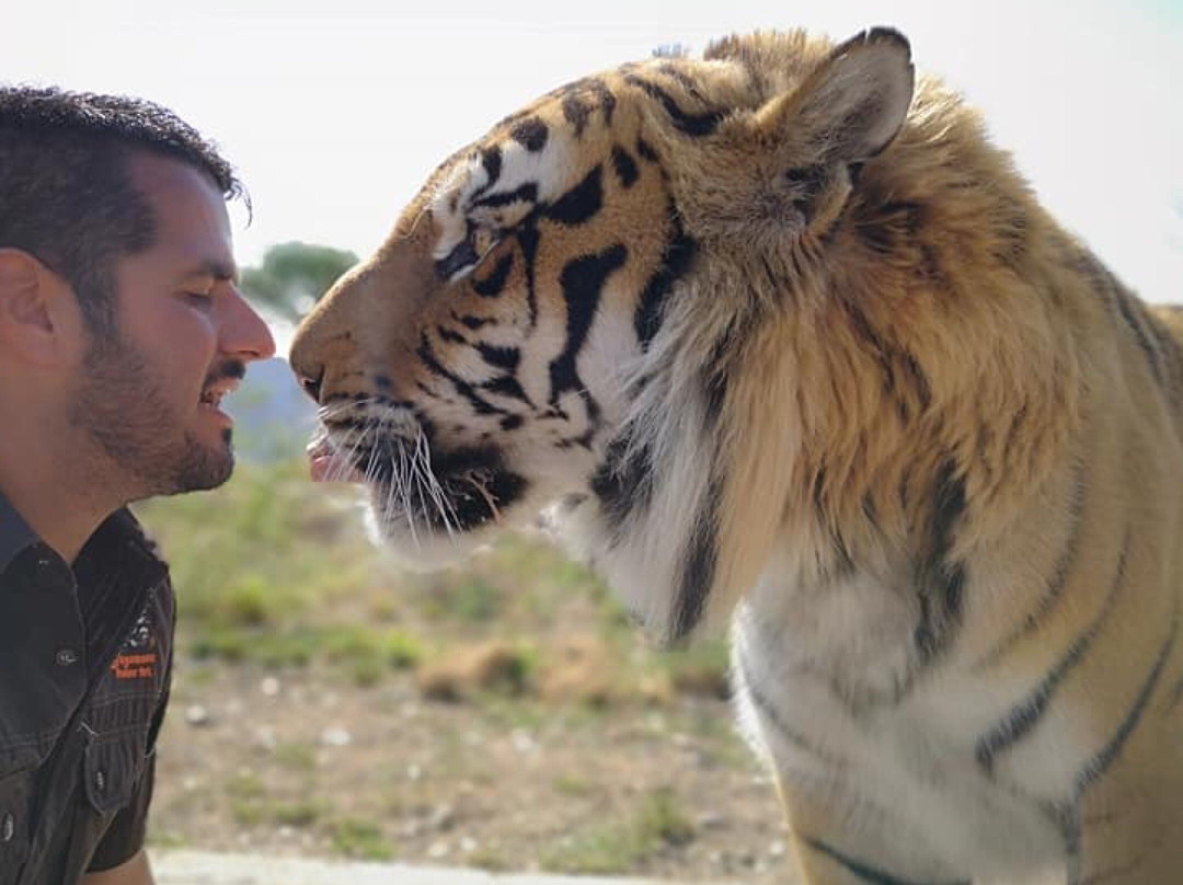 Jugomaro Predator Park 2.0-瓦尔沃特必去景点