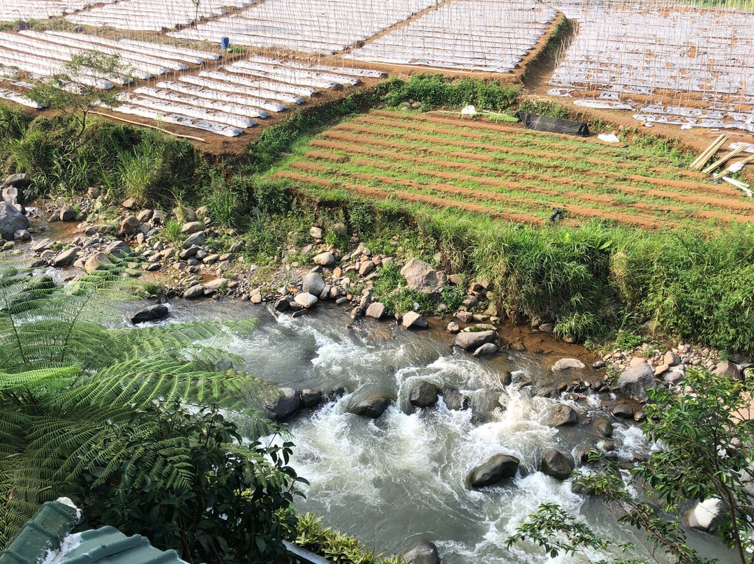 GG House - Happy Valley主图