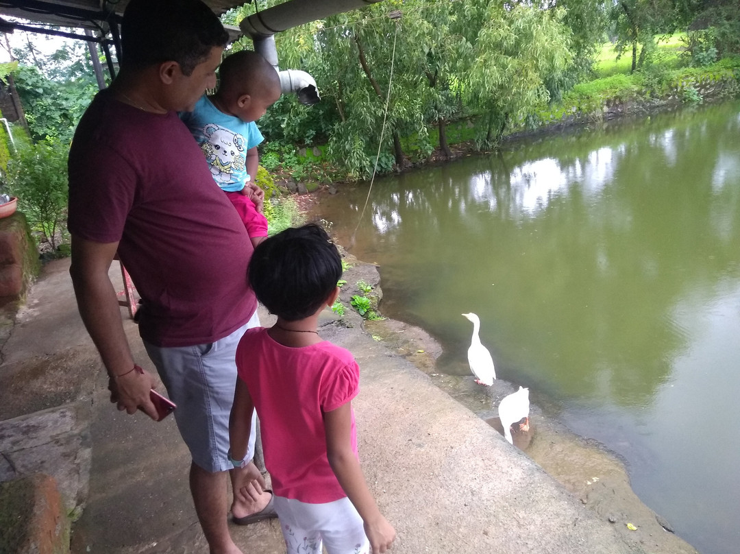 Balaji Farms and Country Homes主图