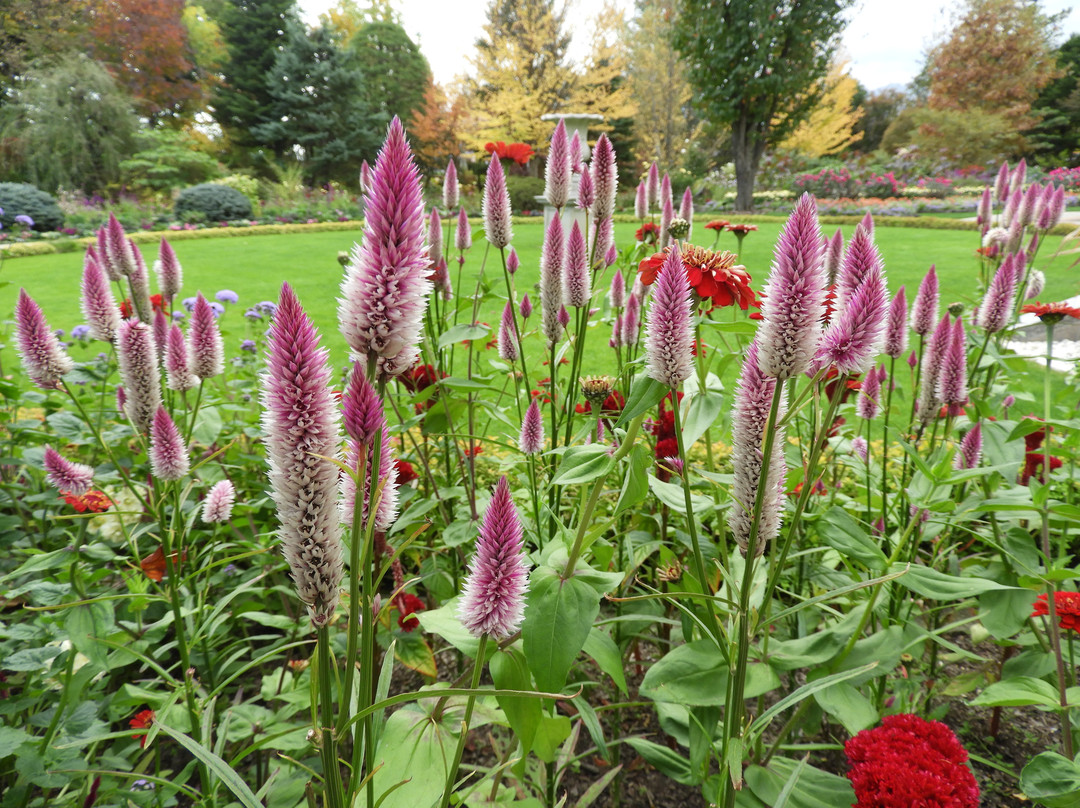 La Casta Natural Healing Garden-大町市必去景点