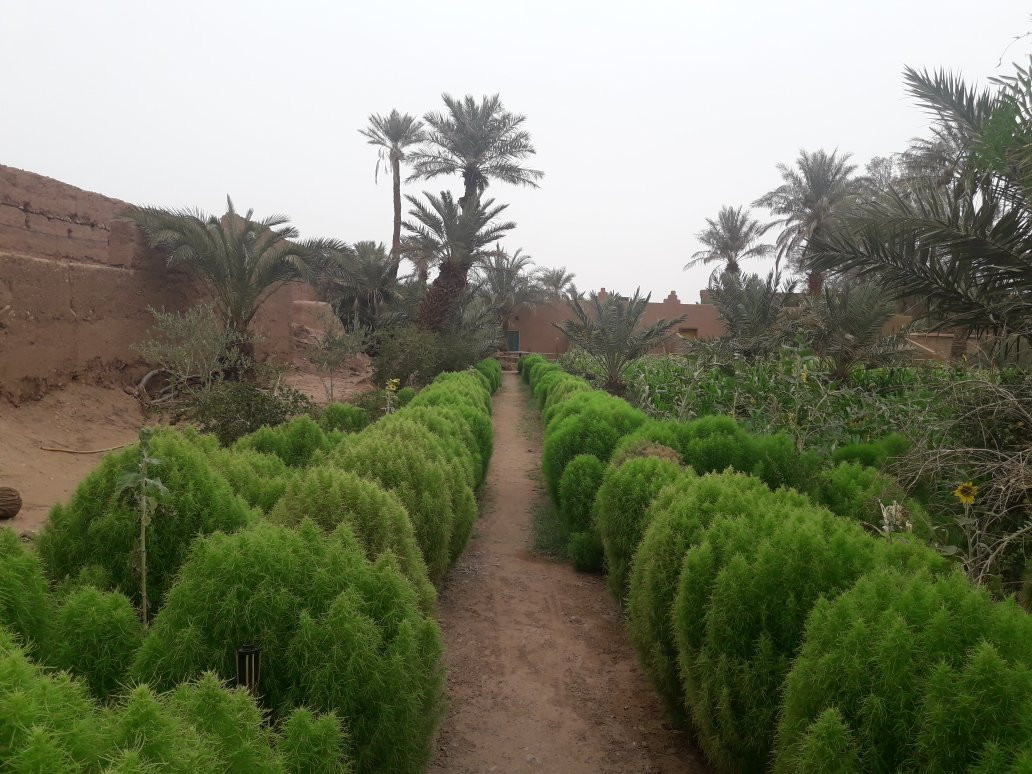 Jnane-Dar Diafa主图