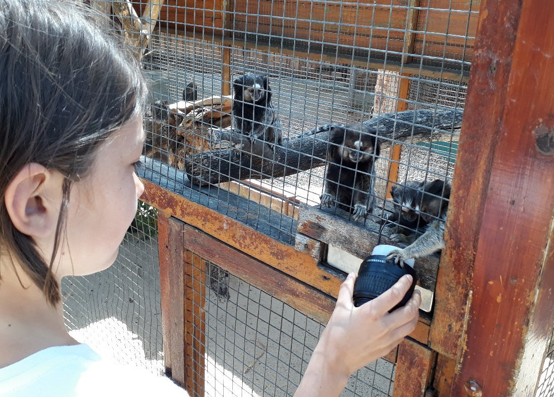 Birds Paradise-Robertson必去景点