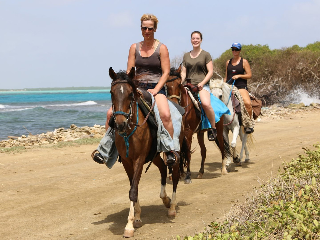 Horse Ranch Bonaire-Kralendijk必去景点