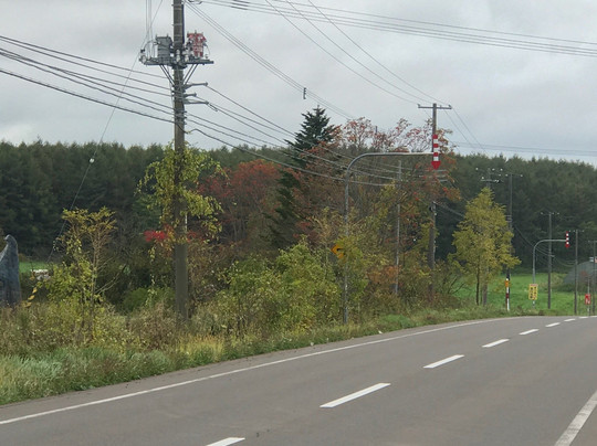 Head of Salmon-中标津町必去景点