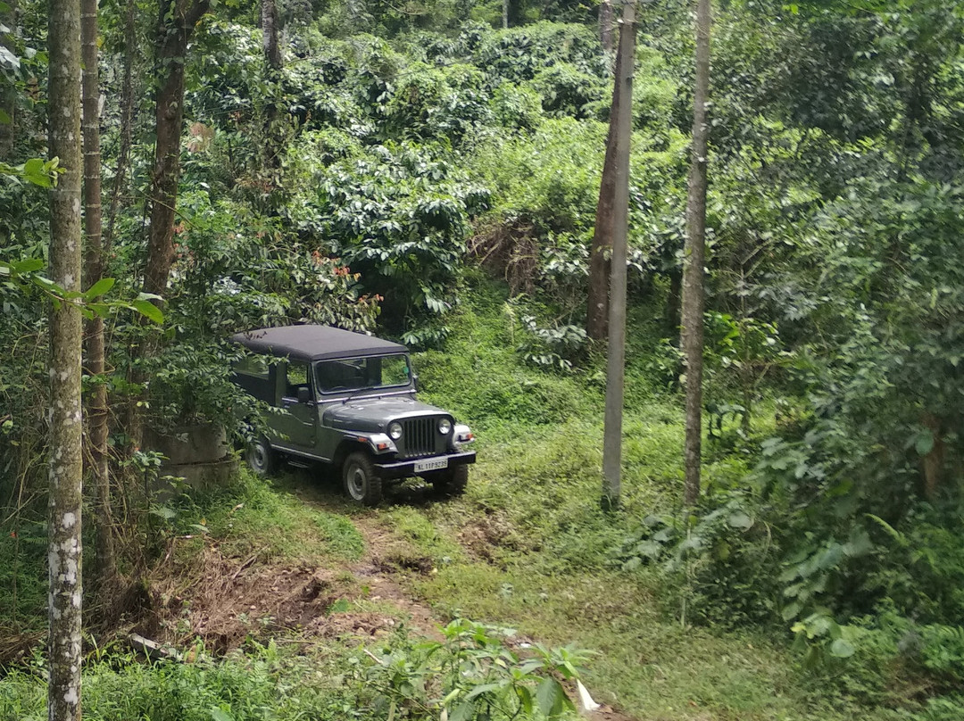 Coffea Aroma Resort - Wayanad主图