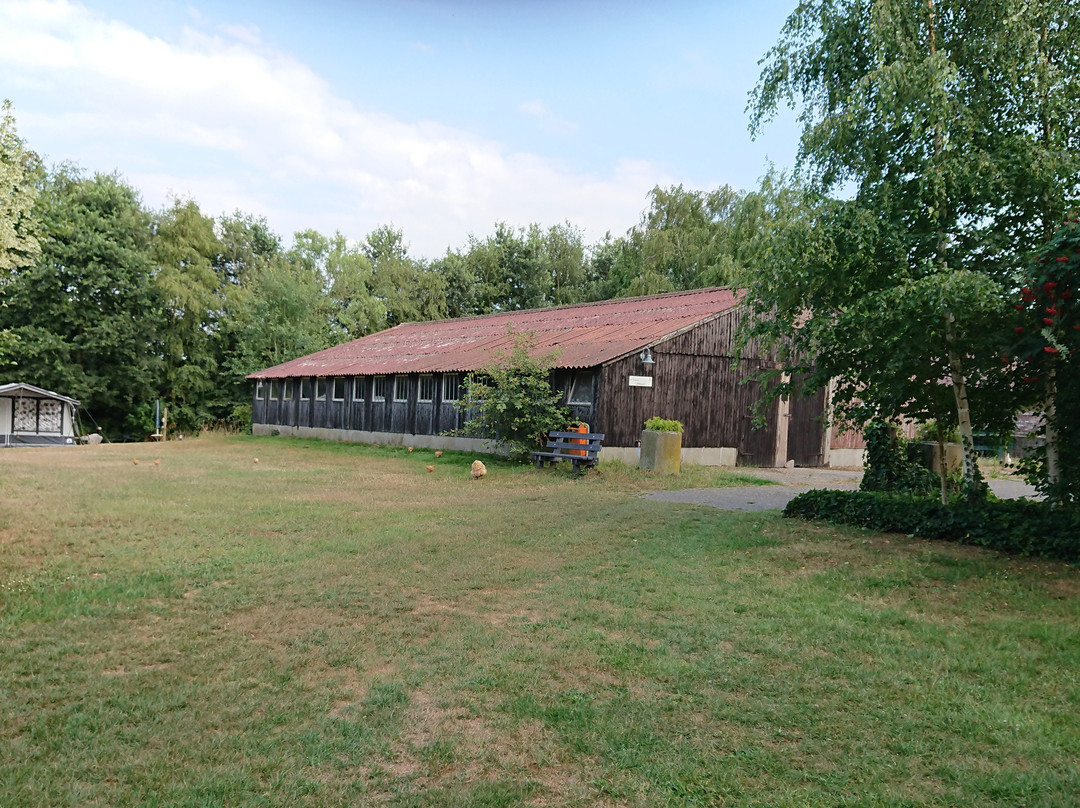 Park de Nieuwe Riet