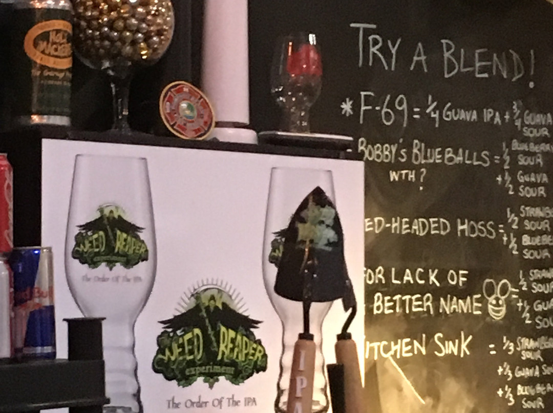 Holy Mackerel Small Batch Beers-庞帕诺比奇必去景点