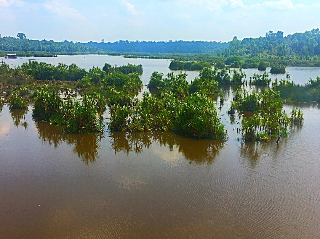 Tasek Bera-而连突必去景点