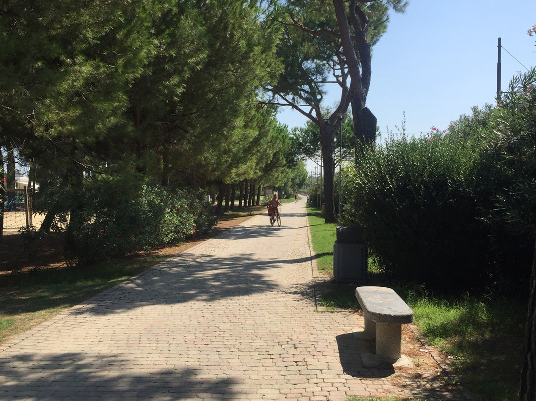 Pista Ciclabile