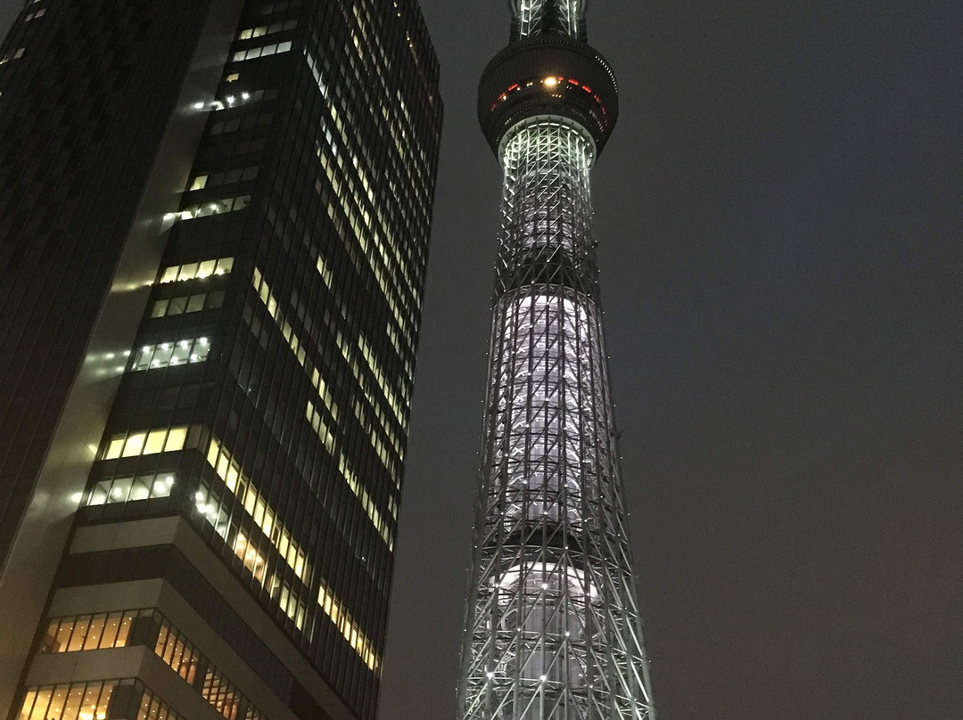 东京押上普瑞米尔里士满酒店主图