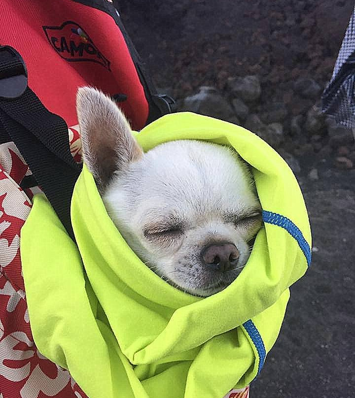 Etnaexploring-林瓜格洛萨必去景点