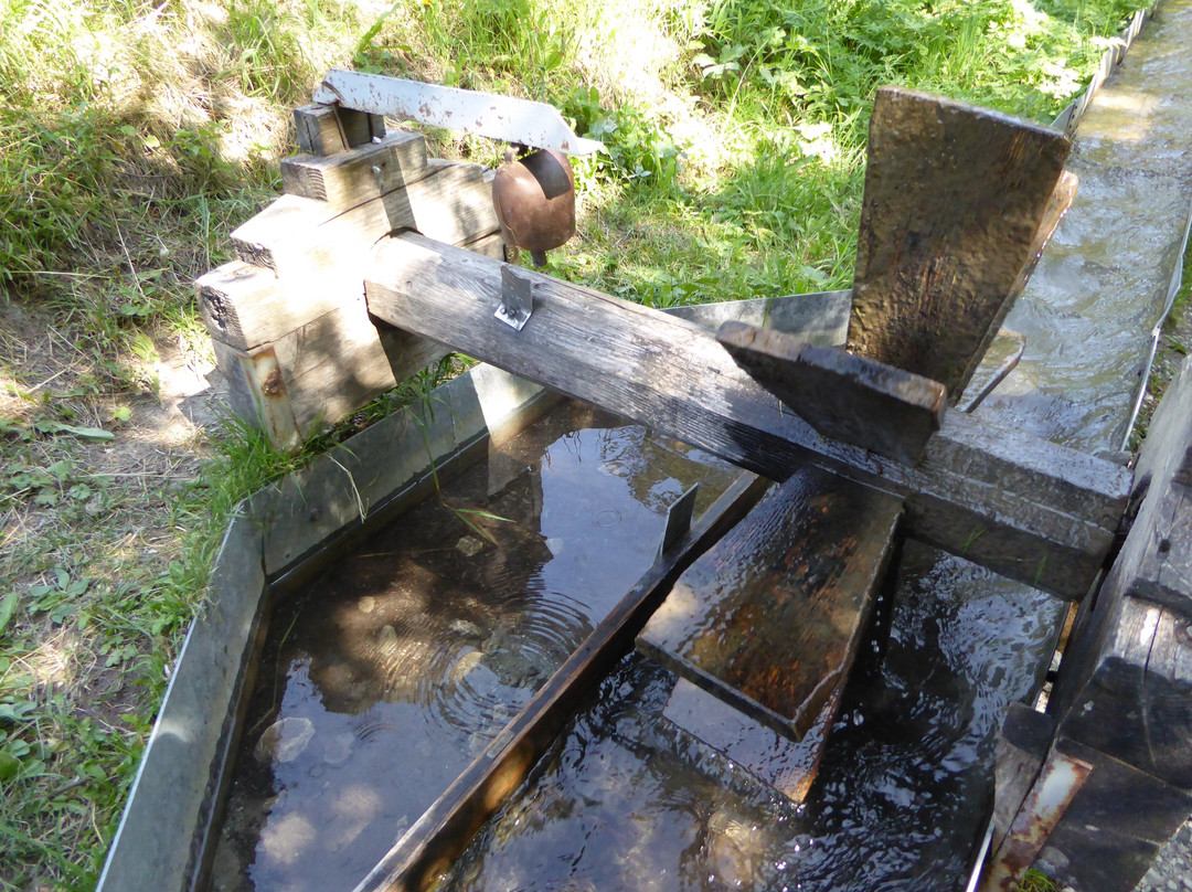 Grand Bisse de Vercorin-Vercorin必去景点