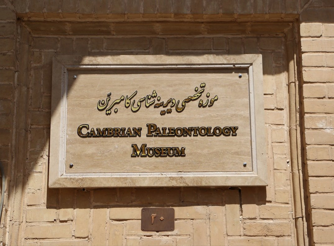 Cambrian Museum景点图片