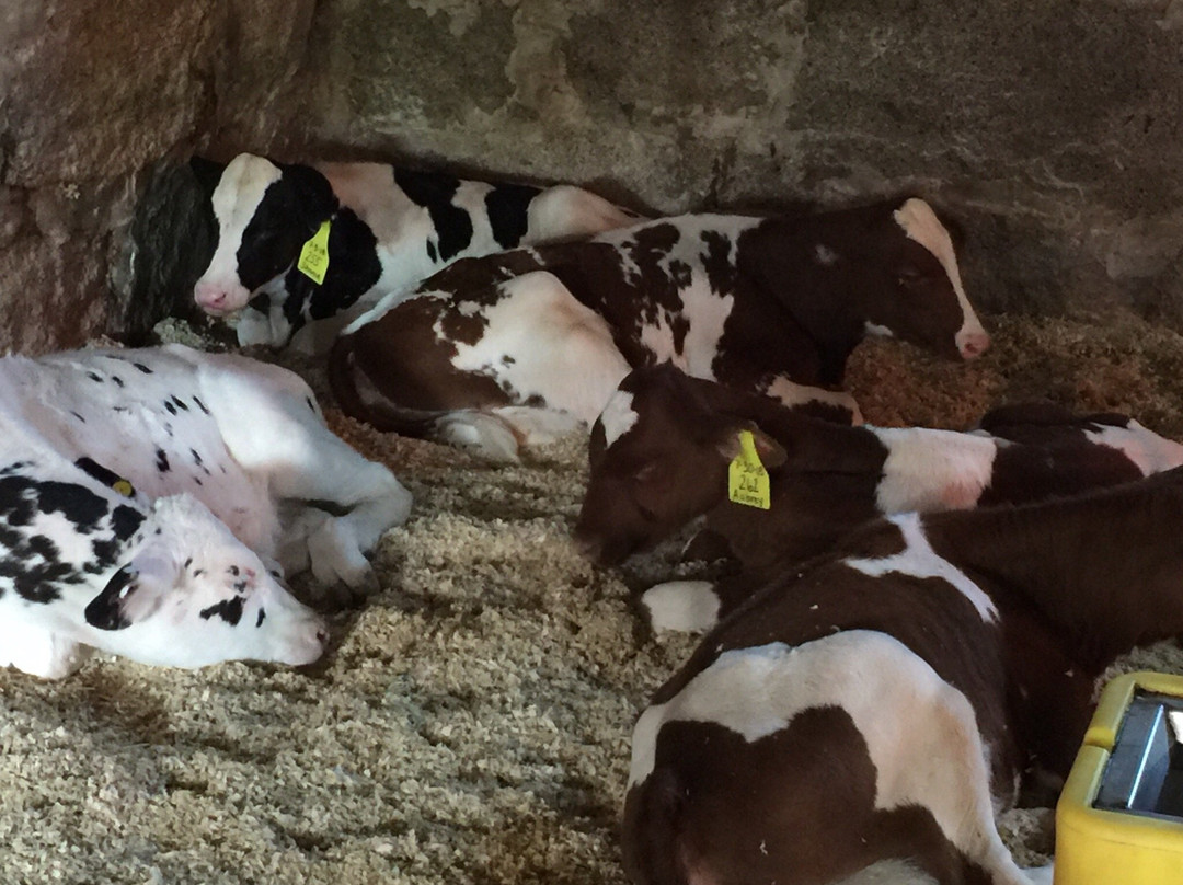 Hornstra Farms-Norwell必去景点