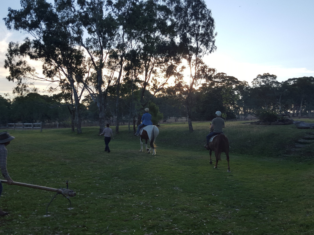 Four Oaks Farm-Littlehampton必去景点