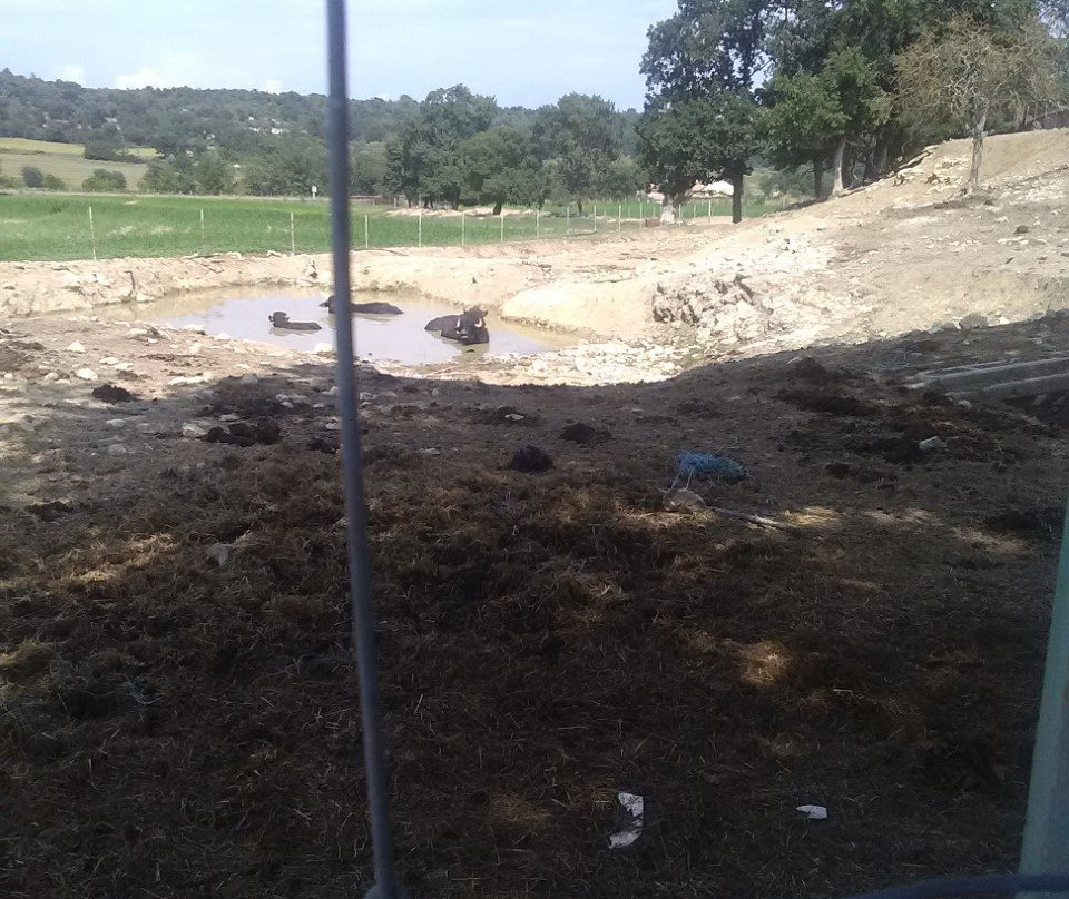 La Ferme Coudert-Vallerargues必去景点